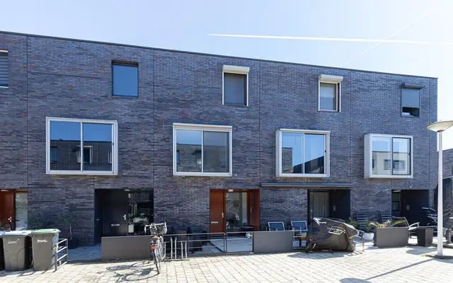 Foto van Gele krokus 5, Papendrecht