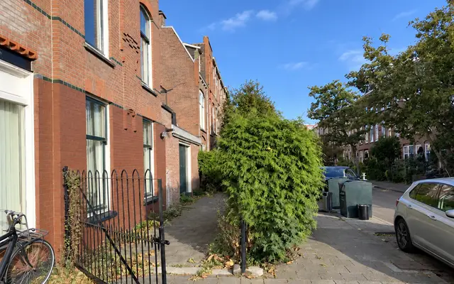 Foto van Professor Kaiserstraat 2, 's-Gravenhage