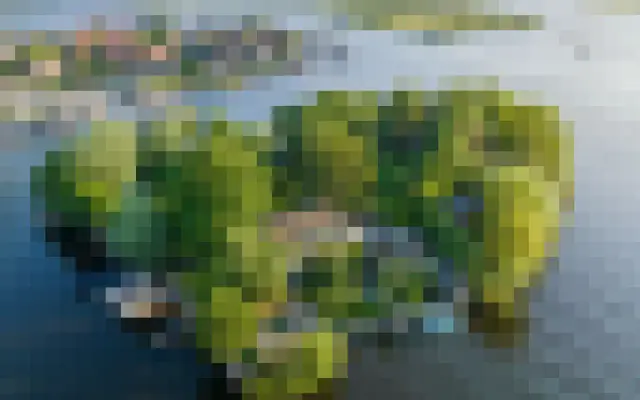Foto van Vogelskamp 1, Warmond