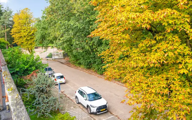 Foto van Comeniuslaan 119, Zeist