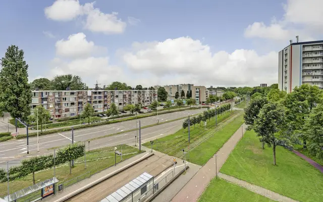 Foto van Louis Raemaekersstraat 49, Schiedam