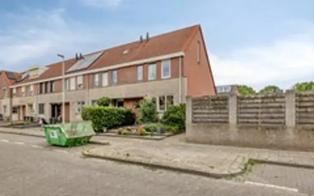 Foto van Grauwe Gans 42, Bergen op Zoom