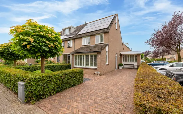 Foto van Kokmeeuw 21, 's-Hertogenbosch