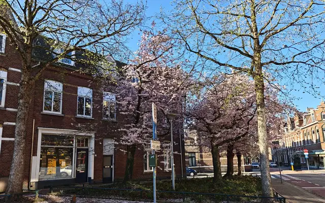 Foto van Herungerstraat 2, Venlo