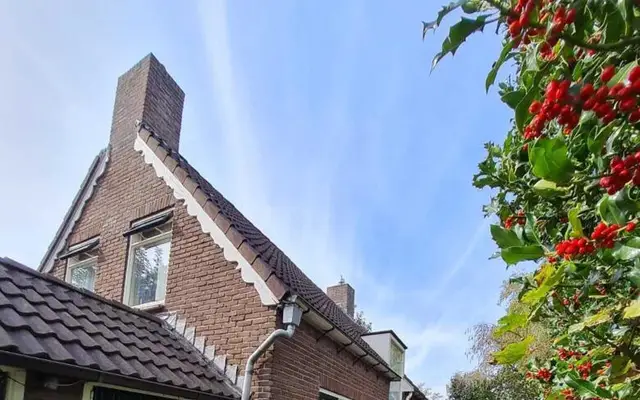 Foto van Huis te koop Boerdijk 10, Nieuwlande