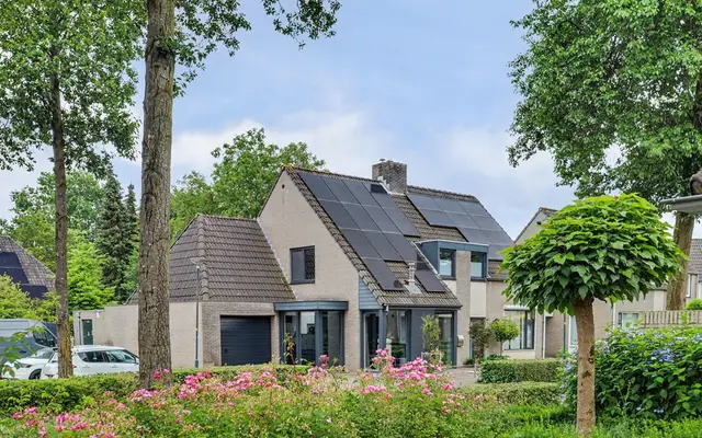 Foto van Helmkruid 2, Bladel