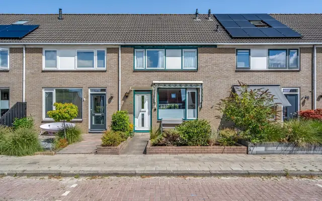 Foto van Penningkruid 63, Sneek