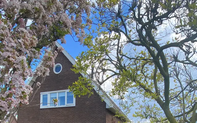 Foto van Tielsestraat 113, Valburg