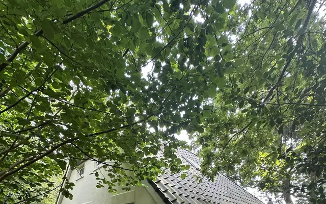 Foto van De Witte Bergen 65, IJhorst