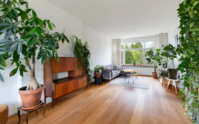 Foto van Nolensstraat 65 D, Opmerking
