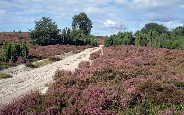 Foto van Haarspit 3, Holten