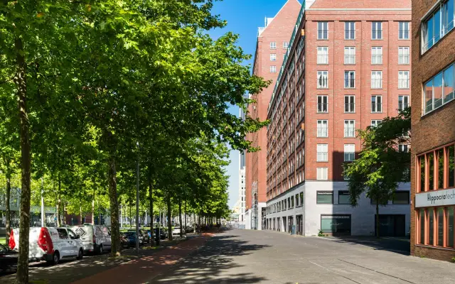 Foto van Laan op Zuid 320, Rotterdam