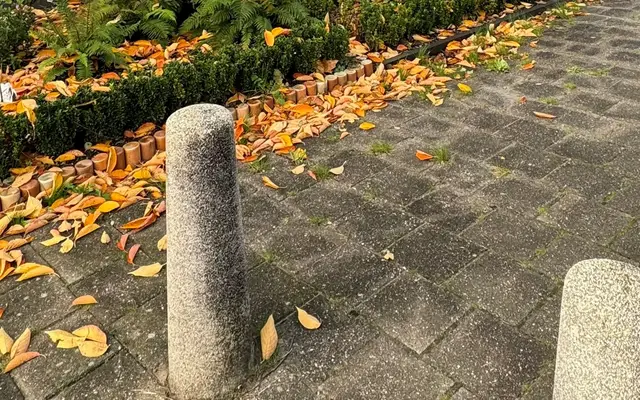 Foto van Chrysantenhof 7, Zwaag