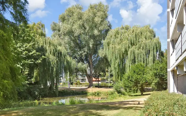 Foto van Tulpentuin 131, Voorburg