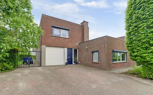 Foto van Buizerd 2, Terneuzen