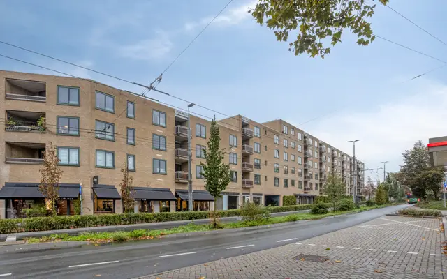 Foto van Ir J.P. van Muijlwijkstraat 318, Arnhem