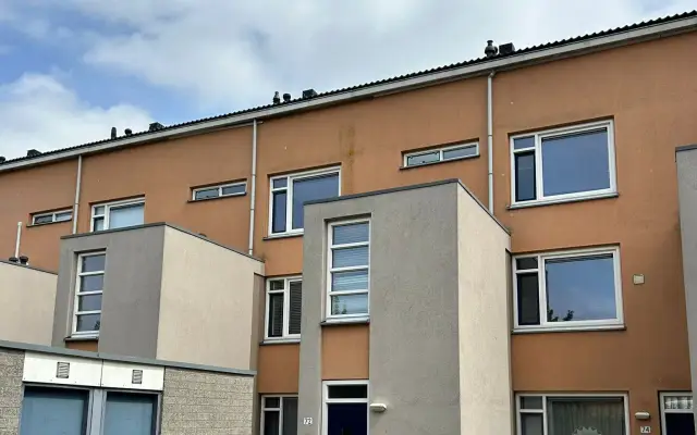Foto van Boerenhoek 72, Hoogvliet Rotterdam