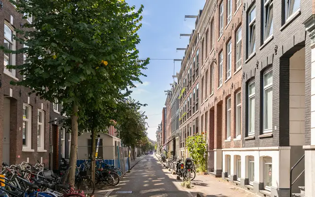 Foto van Govert Flinckstraat 263 C, Amsterdam