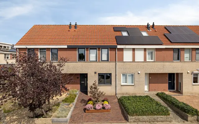 Foto van Grauwe Gans 62, Bergen op Zoom