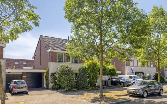 Foto van Fuut 37, Bergen Op Zoom