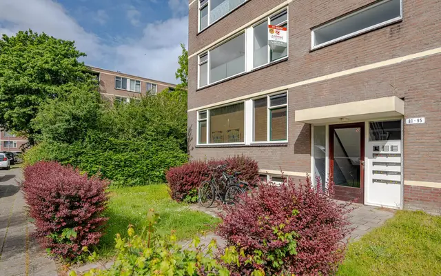 Foto van Ruigoord 91, Rotterdam