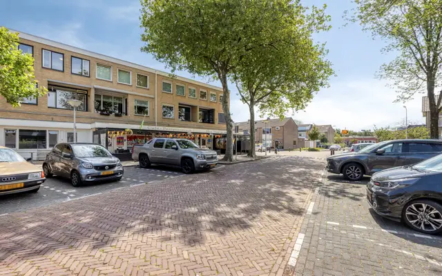 Foto van Cornelis Houtmanplein 25, Maasdijk