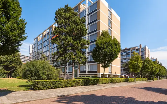 Foto van Louis Davidsstraat 433, 's-Gravenhage