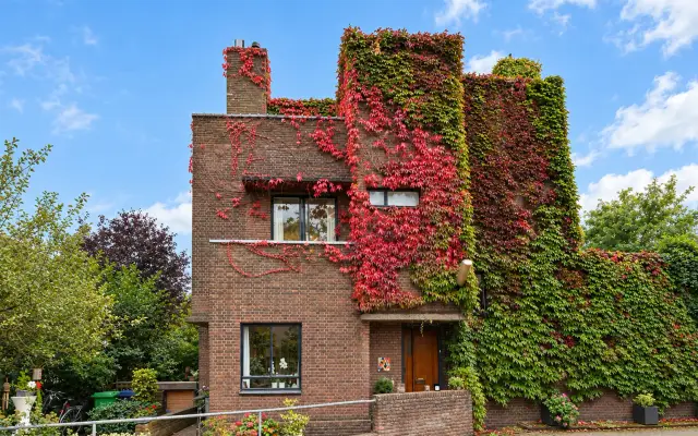 Foto van Mauvestraat 56, 's-Gravenhage