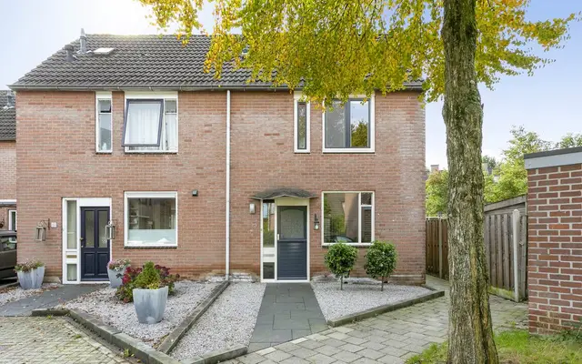 Foto van Vlaamse gaai 20, Deventer