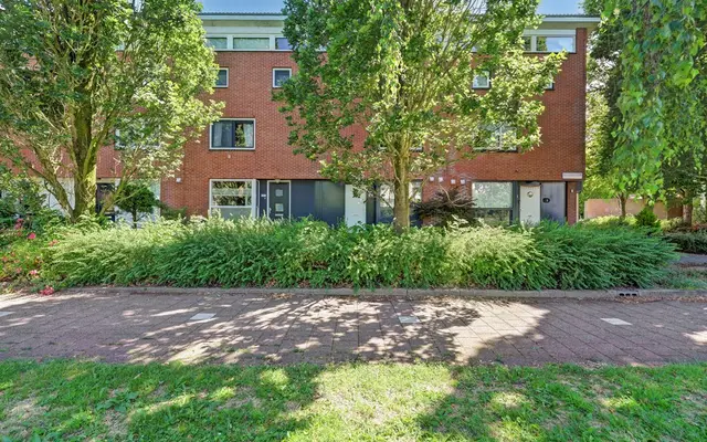 Foto van Noorse Lijster 3, Uithoorn