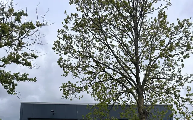 Foto van Kosterweg 6, Rogat
