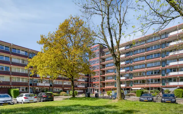 Foto van van der Scheerstraat 117, Assen
