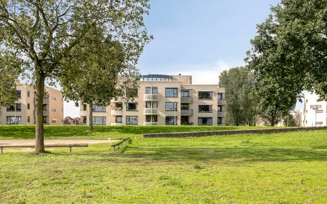 Foto van Sterrekruid 105, Zeewolde