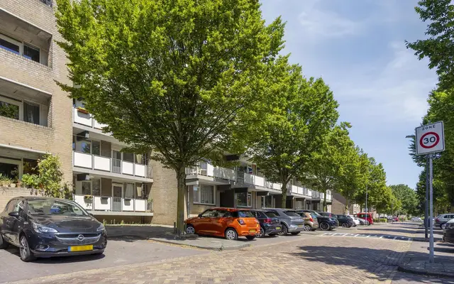 Foto van Palmboomstraat 84, 's-Hertogenbosch