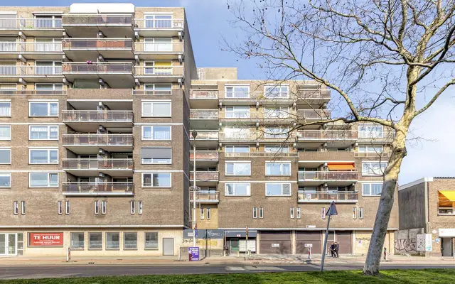 Foto van Strevelsweg 225, Rotterdam