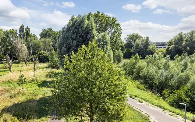 Foto van Haringvlietstraat 279, Dordrecht