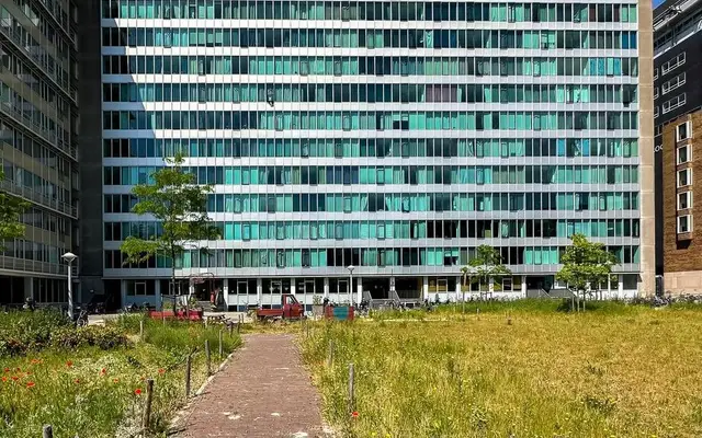 Foto van Bos en Lommerplantsoen 11 A, Amsterdam