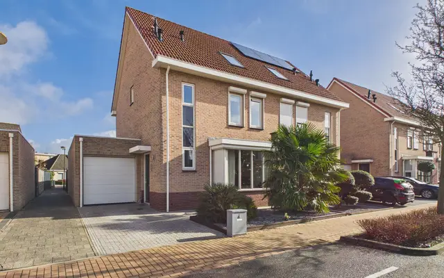 Foto van Aalscholver 14, Terneuzen
