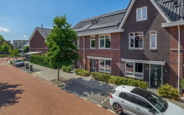 Foto van Citroenvlinder 32, 'S-GRAVENZANDE