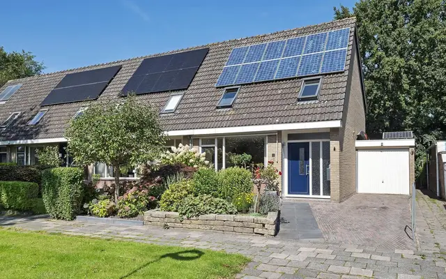 Foto van Rietgans 7, Dokkum