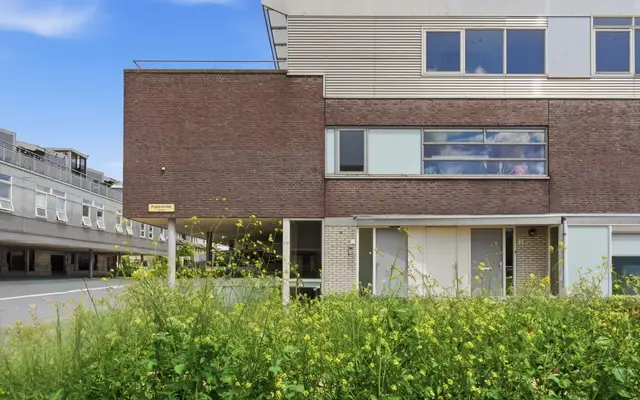Foto van Argusvlinder 4, Diemen