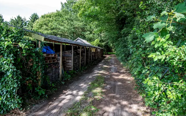 Foto van Vonkslaan 37 a, Bellingwolde