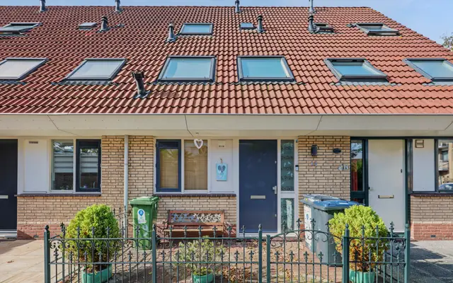 Foto van Zeekoet 19, Monster