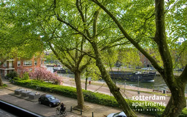 Foto van Rösener Manzstraat 9 D, Rotterdam