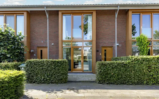 Foto van Knoopkruid 6, Voorthuizen