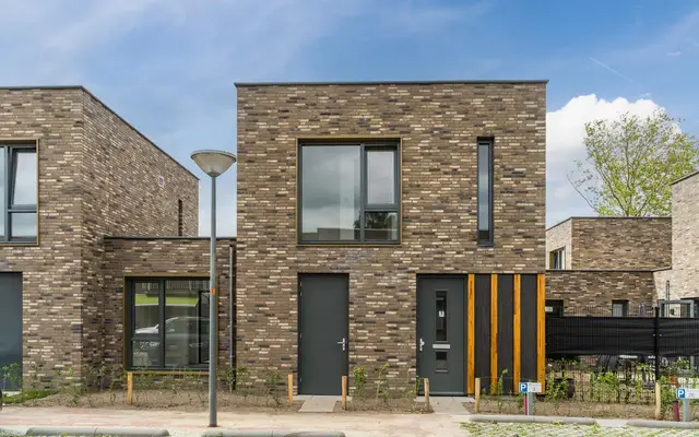 Foto van Houtsnip 1, Bladel
