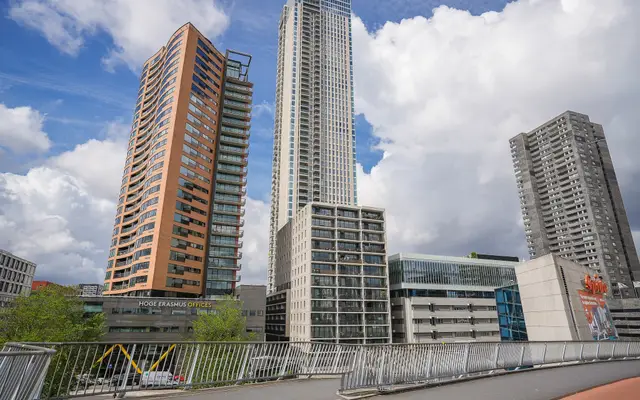 Foto van Houtlaan 239, Rotterdam