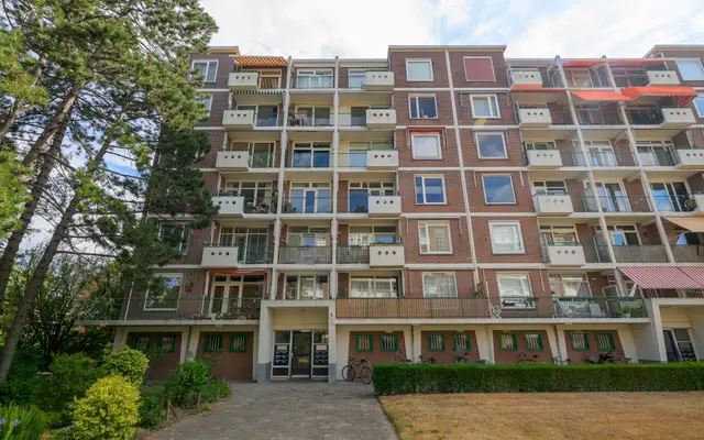Foto van Ranonkelstraat 387, 's-Gravenhage