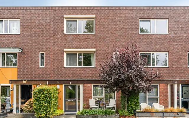Foto van Citroenvlinder 66, Hoogeveen