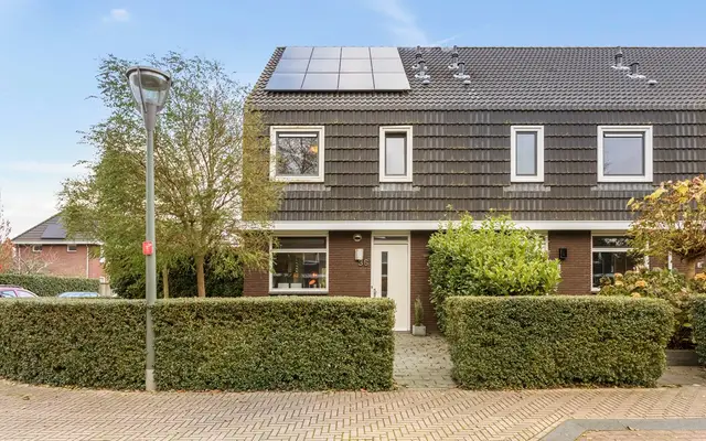 Foto van Populier 36, Leek